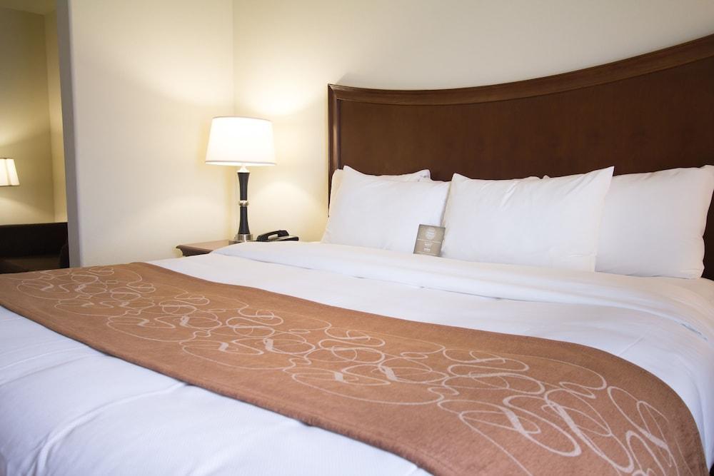 Comfort Suites San Antonio North - Stone Oak Buitenkant foto