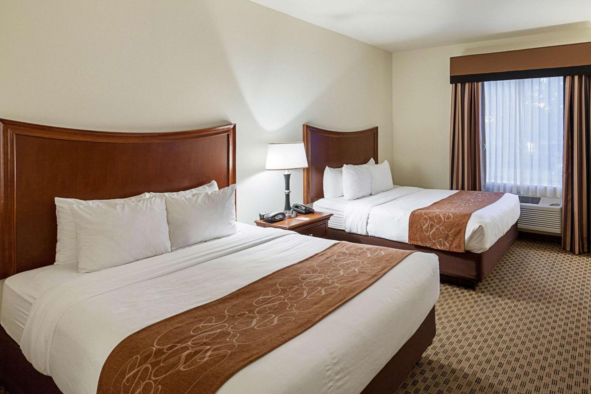 Comfort Suites San Antonio North - Stone Oak Buitenkant foto