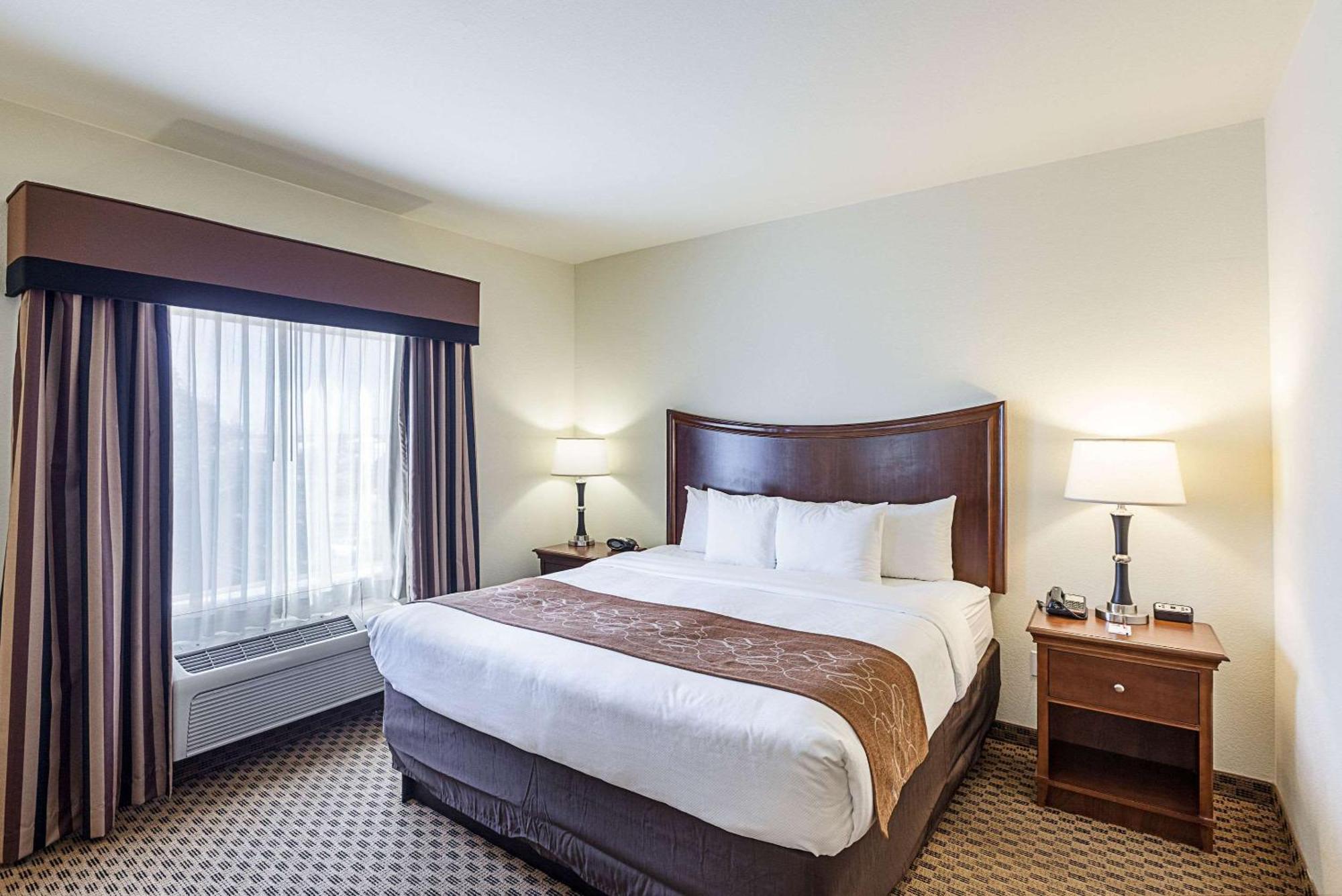 Comfort Suites San Antonio North - Stone Oak Buitenkant foto