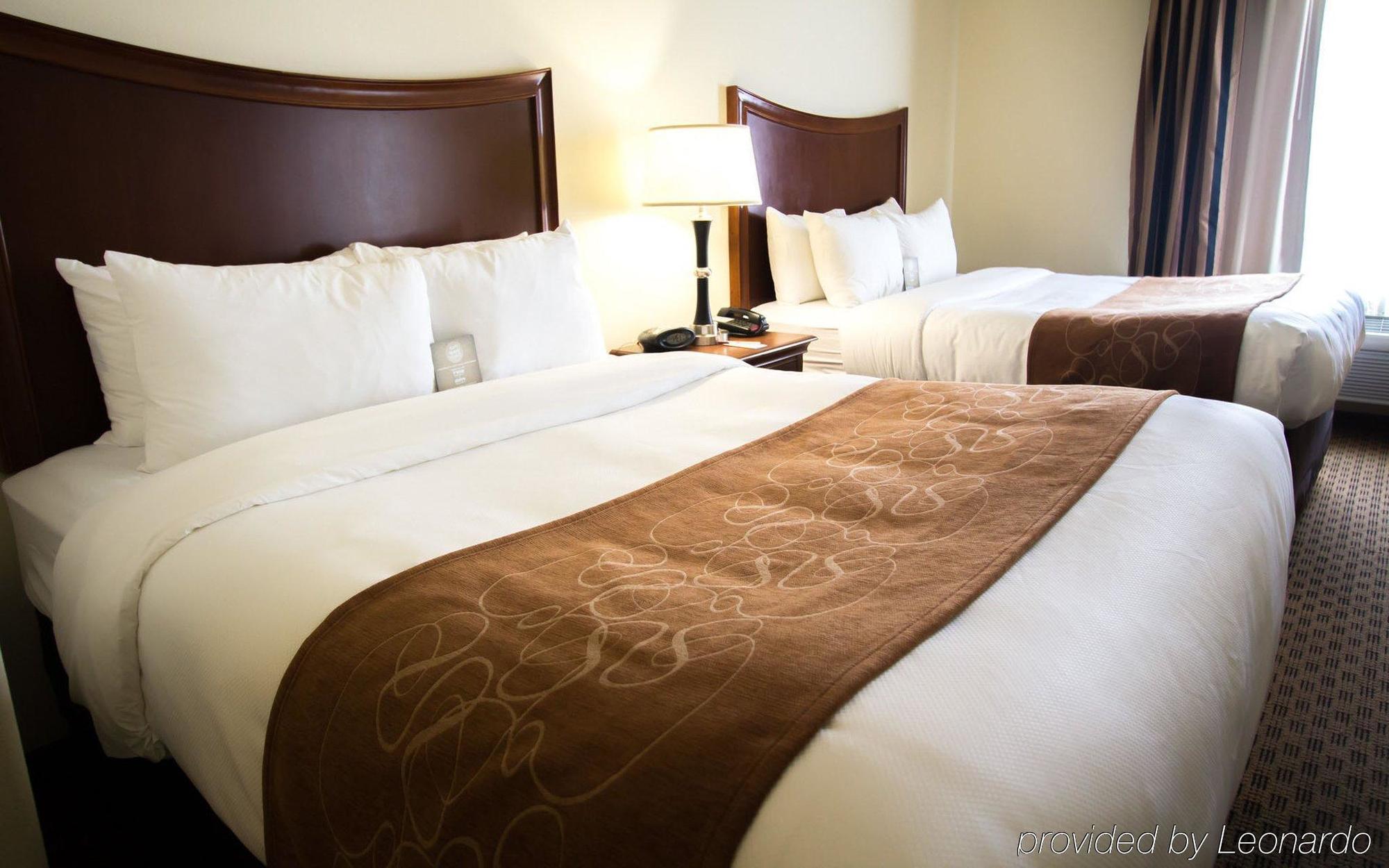 Comfort Suites San Antonio North - Stone Oak Buitenkant foto